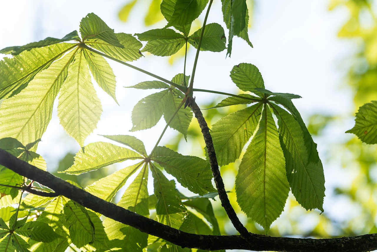 découvrez comment stimuler la croissance de votre entreprise grâce à des stratégies innovantes, des conseils pratiques et des analyses approfondies. adoptez les meilleures pratiques pour un développement durable et performant.