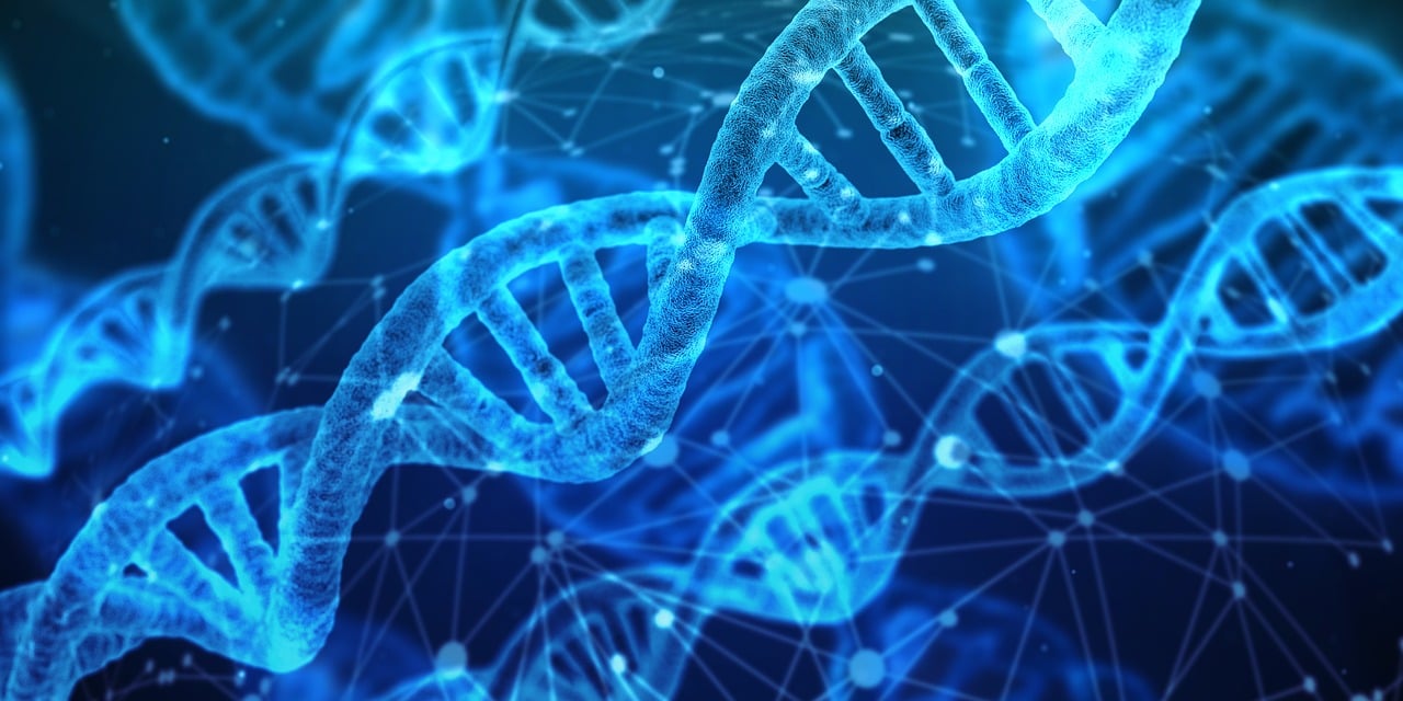 découvrez comment l'innovation transforme notre quotidien, stimule la croissance et ouvre de nouvelles opportunités dans tous les secteurs d'activité.